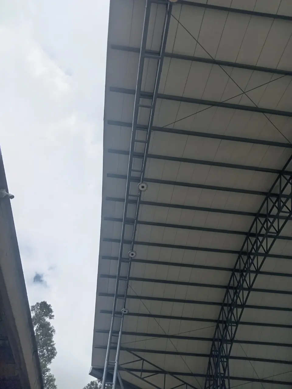 Alero de la cubierta curva visto desde abajo